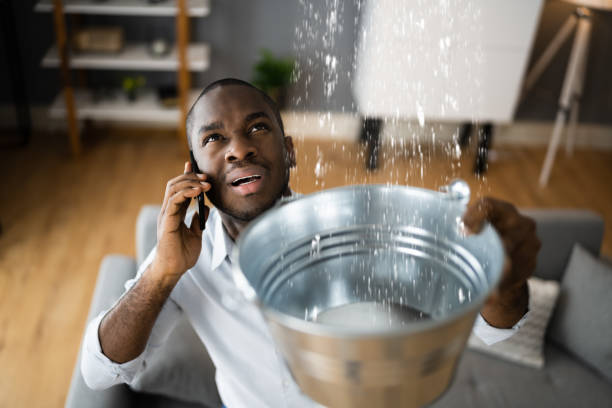 Best Basement water damage restoration  in Roosevelt, NY