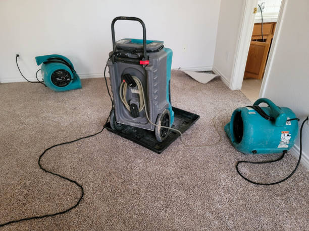 Best 24/7 water damage repair  in Roosevelt, NY