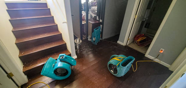 Best Flood restoration services  in Roosevelt, NY