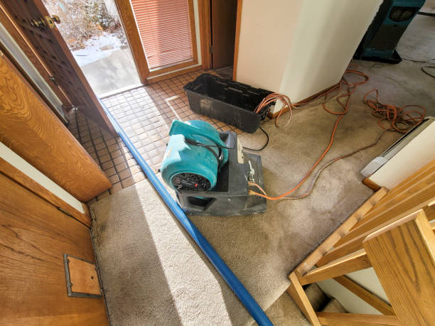 Best Flood restoration services  in Roosevelt, NY